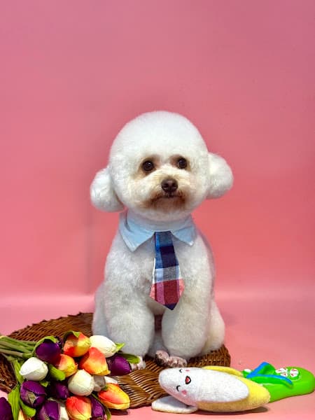 Hình ảnh FLUFFY PET SHOP - 5