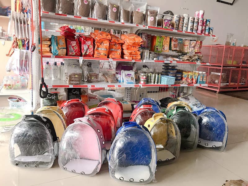 Hình ảnh Mua bán chó mèo Buôn Ma Thuột - Boss Pet Shop BMT - 4