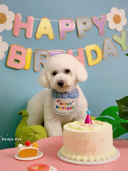 Hình ảnh Barbie Pet Thượng Đình - Cửa Hàng Thú Cưng - 4