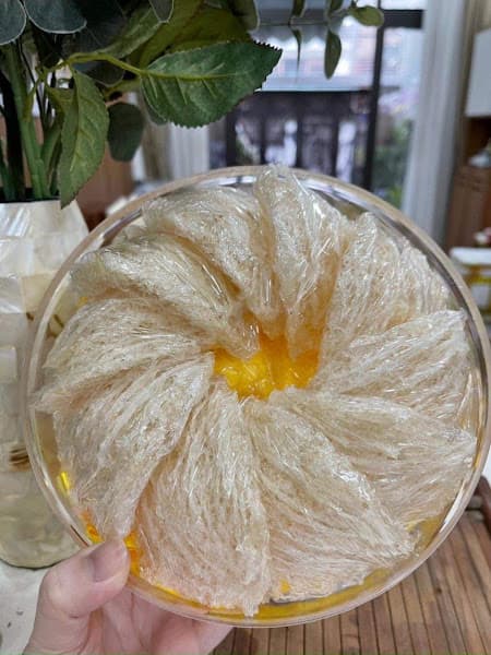 Hình ảnh Yến Sào Khánh Hoà - 8