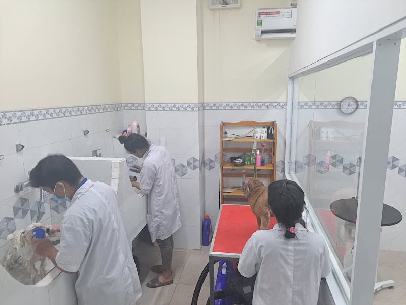 Hình ảnh Phòng Khám Thú Y Nutipet Vĩnh Long - 5