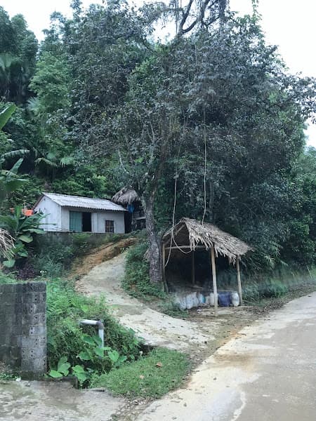 Hình ảnh Sở Dân Tộc và Tôn Giáo Tỉnh Lai Châu - 2