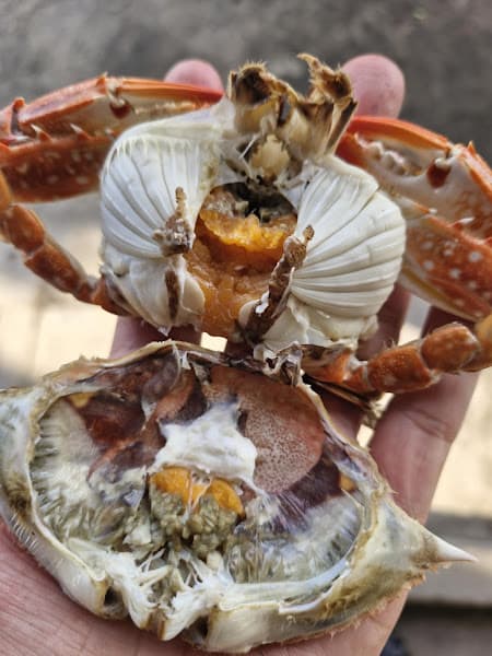 Hình ảnh Vựa Hải sản HẰNG NGHĨA - 3