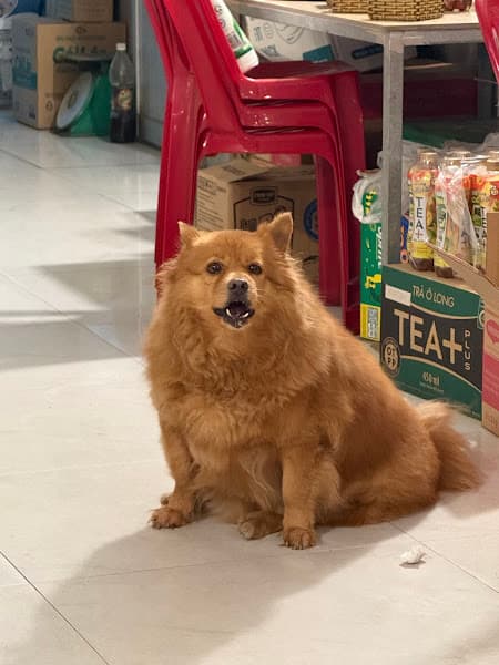 Hình ảnh Bún Bò 153 - 4