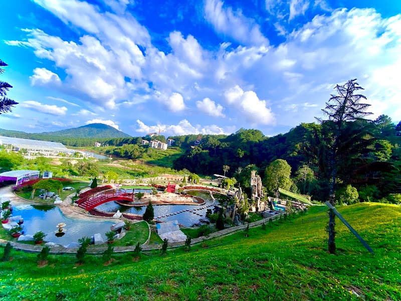 Hình ảnh Khu vui chơi Dalat Wonderland - 5