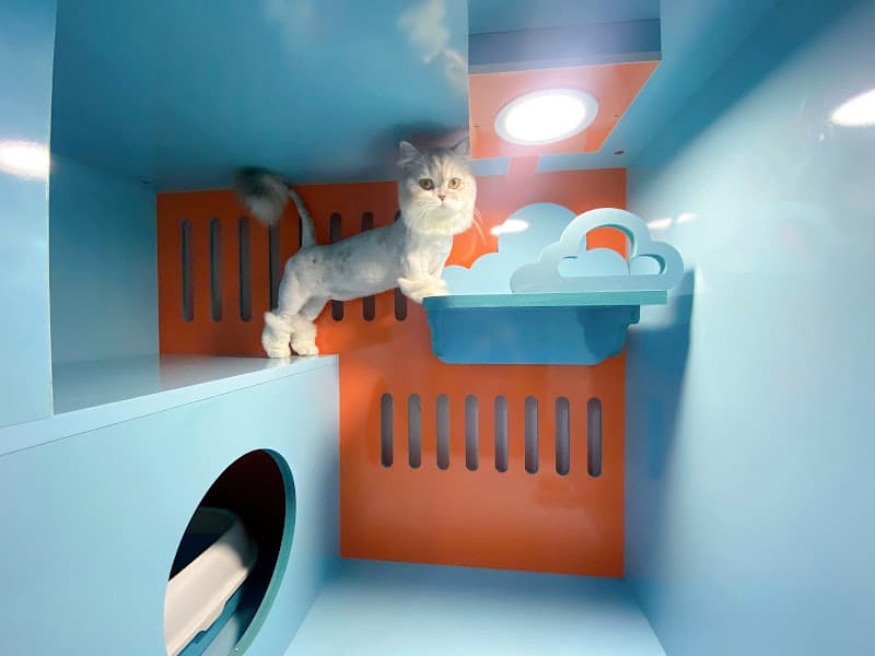 Hình ảnh Shop Thú Cưng Sài Gòn - 4