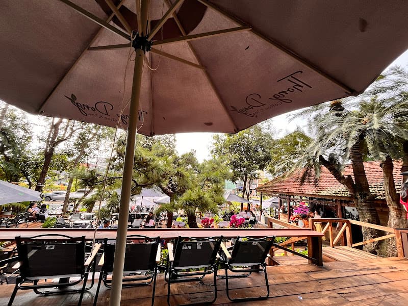 Ảnh bìa Thong dong coffee