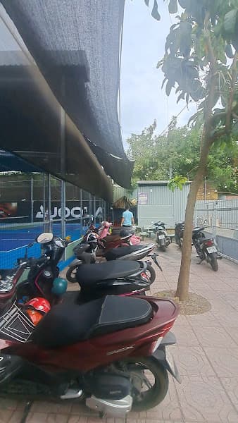 Hình ảnh Nam Việt PickleBall - 5