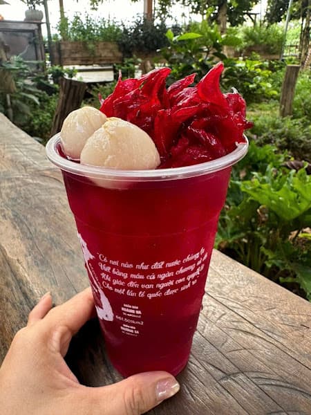 Hình ảnh Cafe Phước Hỷ - Hàng thông trăm tuổi GL - 2