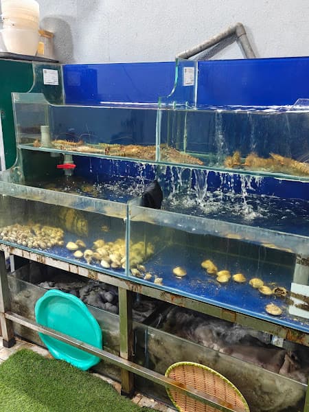 Hình ảnh Ốc hải sản Cô Nhung - 3