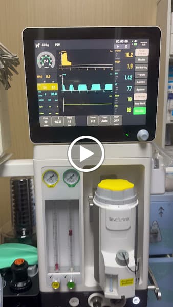 Hình ảnh Phòng Khám Thú Y Xuân Lộc - Khám, Điều Trị Bệnh Chó Mèo Tại Gia Ray - 5