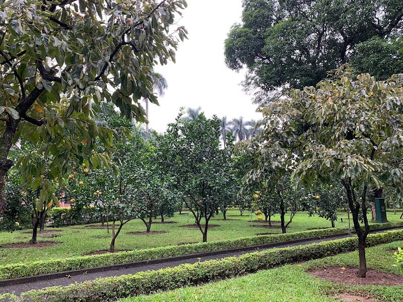 Hình ảnh Nhà sàn Bác Hồ - 4