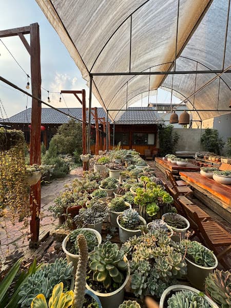 Hình ảnh Chill Kafe Mai Sơn - 2