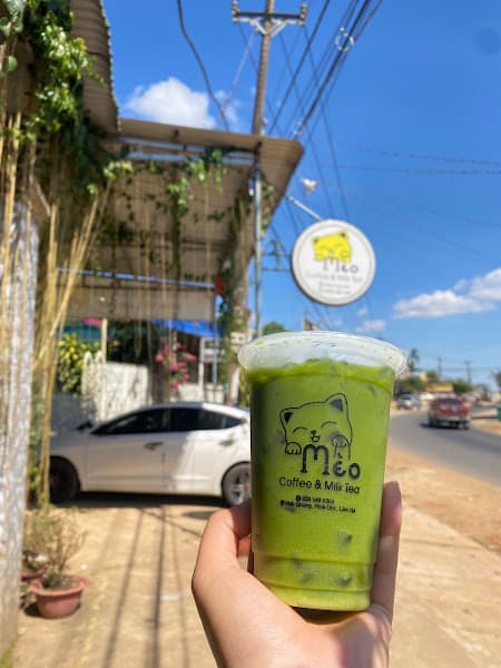 Hình ảnh Mèo Coffe & Milktea - 2