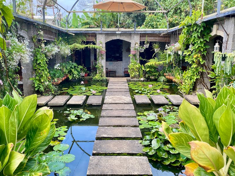 Hình ảnh May a coffee 98 Sư Vạn Hạnh Pleiku Gia Lai - 8