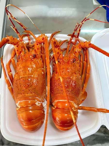 Hình ảnh Nhà hàng Hải sản tươi sống Khánh Loan - 6