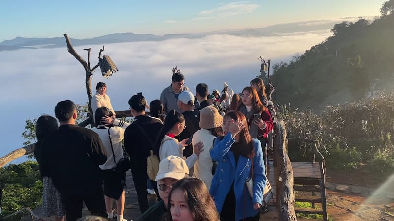 Hình ảnh Săn mây Panorama Cầu Đất - 2