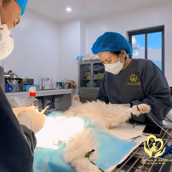 Hình ảnh Bệnh Viện Thú Y Pet Health Centre Long Khánh - 3
