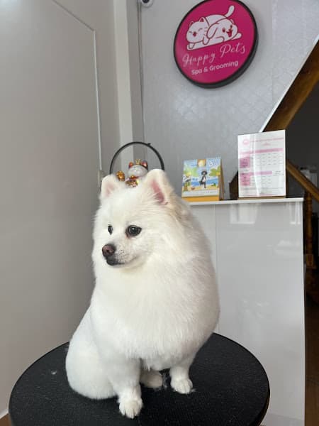 Hình ảnh Dalat Happy pets - 4