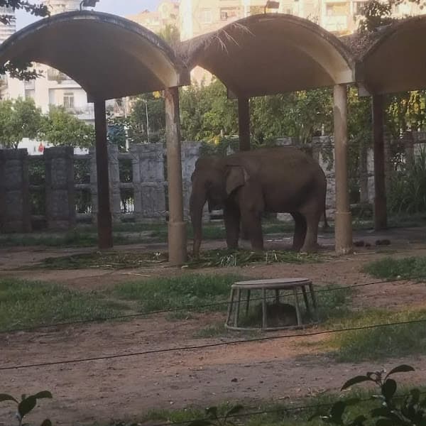 Hình ảnh Vườn trái cây Tây Nguyên đại ngàn - 2