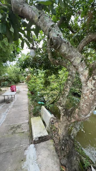 Hình ảnh Lẩu bò bảy mập - 4