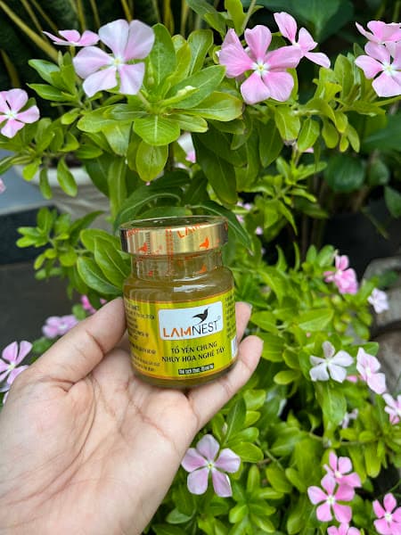 Hình ảnh Yến Sào Nga Nguyễn - 2