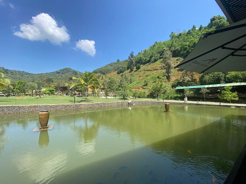 Hình ảnh MADALAND - 3