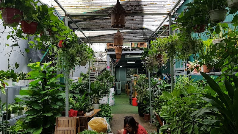 Hình ảnh Vườn Ươm SunShine Cafe - 4