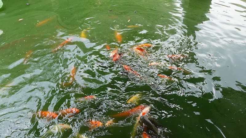 Hình ảnh Trường Du Tạ - 3