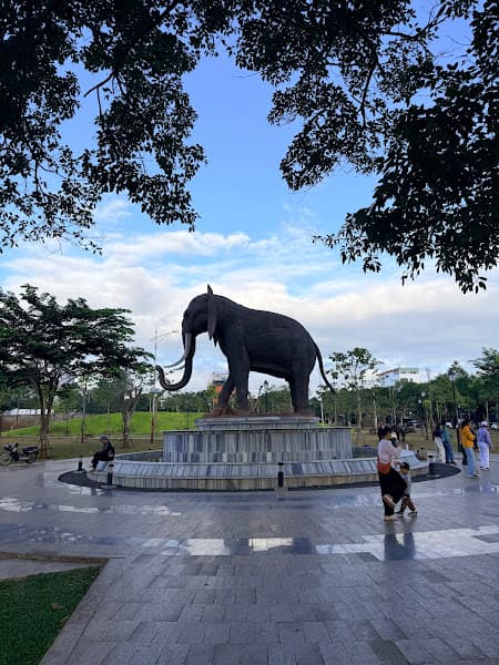 Hình ảnh Kita Pickleball - 5