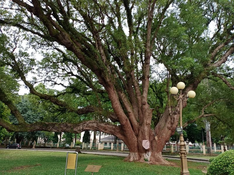 Hình ảnh Biệt Điện Bảo Đại - 4