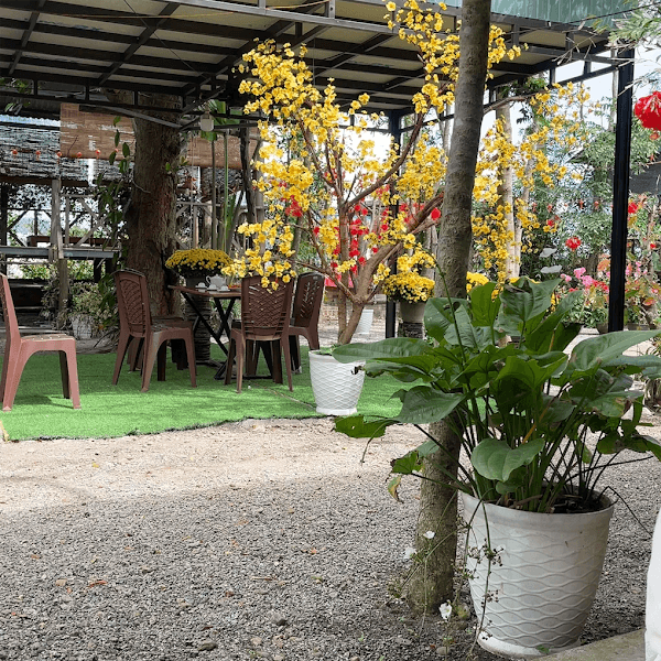 Hình ảnh Quán Vườn Sưa - 4