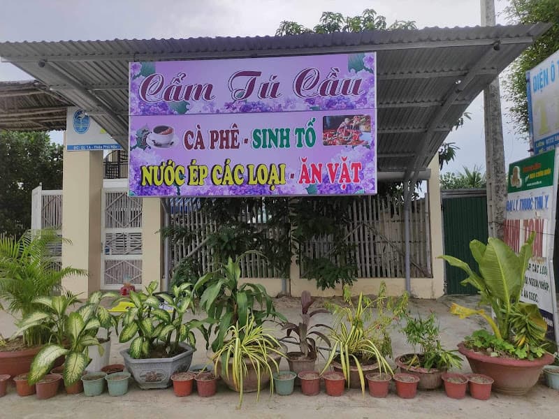 Cẩm Tú Cầu Coffee