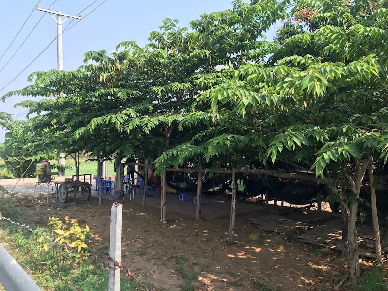 Ảnh bìa Cà Phê Võng Công Minh