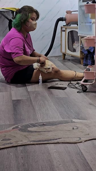 Hình ảnh Cám&Nếp Grooming - Chi nhánh Q10 - 4