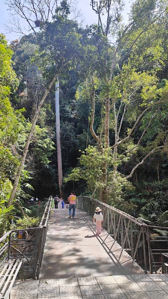 Hình ảnh Thác Liliang - 3