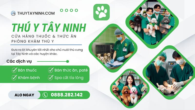 Hình ảnh Thú Y Tây Ninh - CMT8 - 3