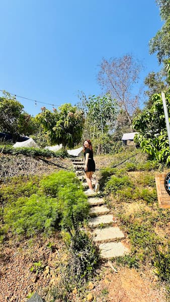 Hình ảnh Bảo Sam Camping- Chí Bảo Trips - 8