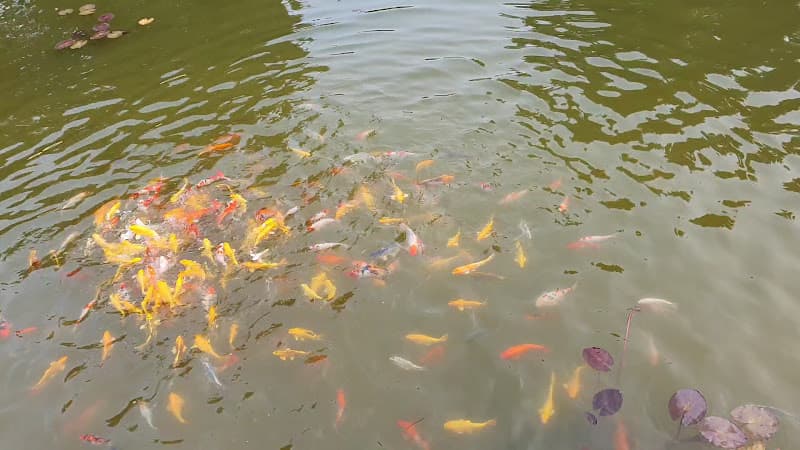 Hình ảnh Khu Di tích Lưu niệm Bác Hồ - 6