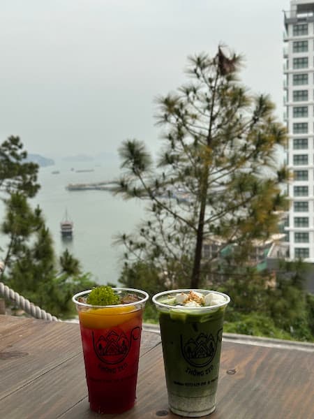 Hình ảnh Thông Zeo - 2