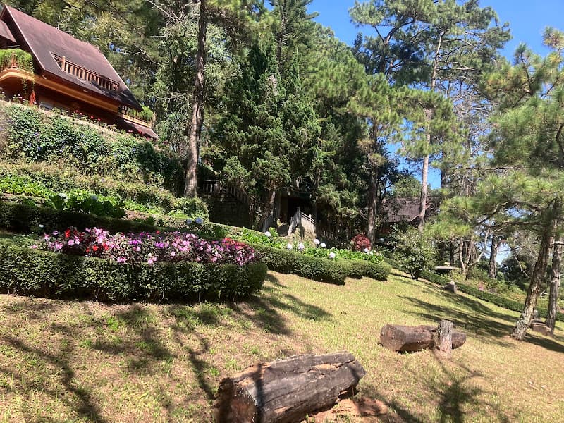 Hình ảnh Công Ty CP Du Lịch Giao Hưởng Xanh - Rừng Giao Hưởng - 3