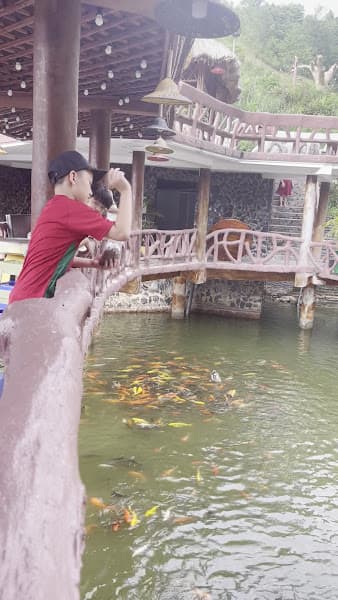 Hình ảnh Khu Tổ Hợp Windy - 2