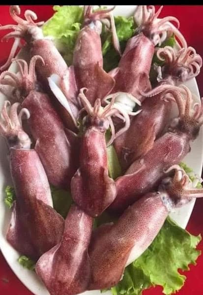 Hình ảnh Quán nhậu Thầy Cẩn Quán - 3