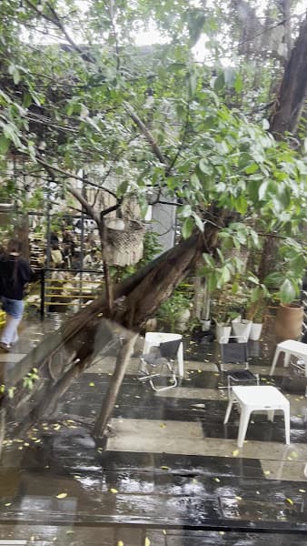 Hình ảnh The 80's Mạc Thiên Tích - 3