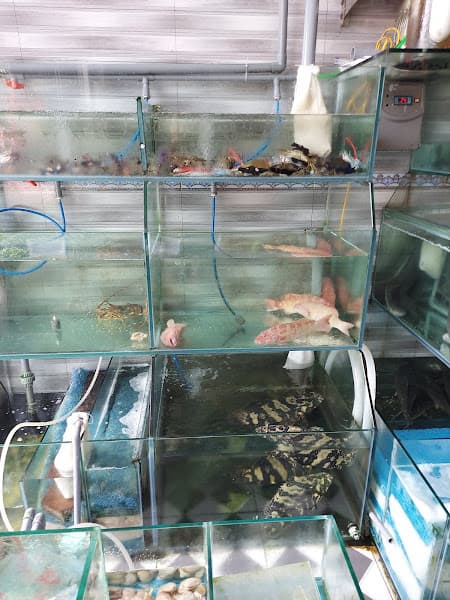 Hình ảnh Nhà Hàng Hương Việt - 4