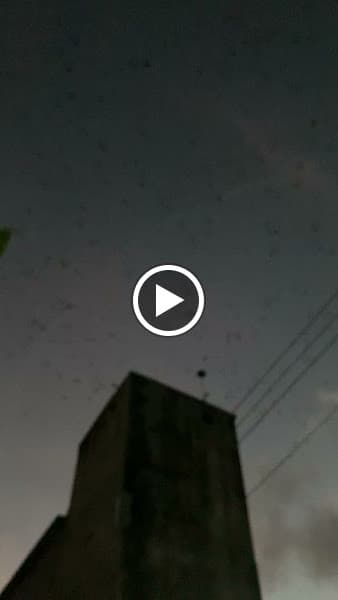 Hình ảnh Yến Sào Sử Dương - 4