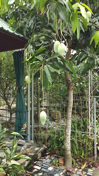 Hình ảnh Quán ăn gia đình Tam Đa - 5