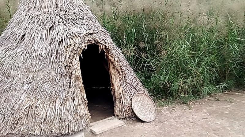 Hình ảnh Phim Trường Kong Skull Island Ninh Bình - 4