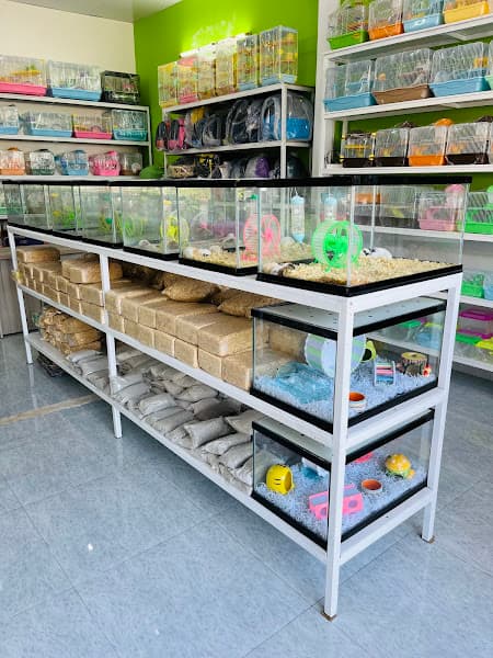 Hình ảnh Hamster Shop Sa Đéc KHỦNG LONG CON - 2