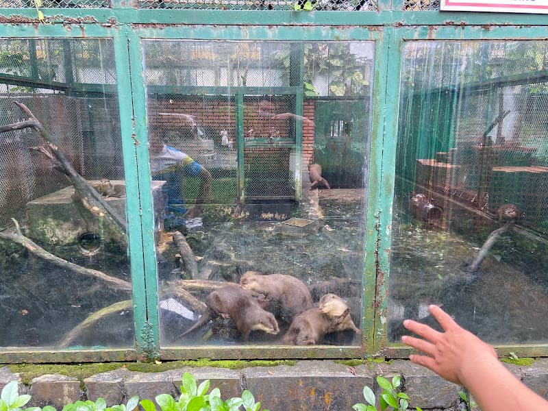 Hình ảnh Di Tích Lịch Sử Quán Nhan Hương - Thảo Cầm Viên - 2